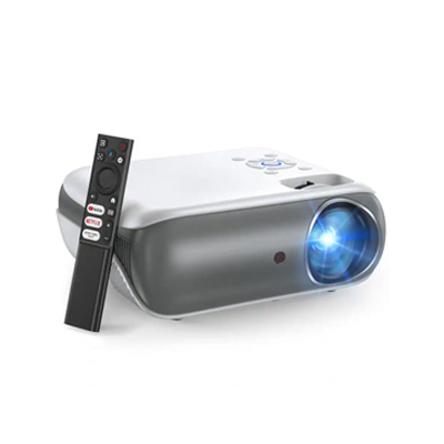 ddpa_projector.jpg